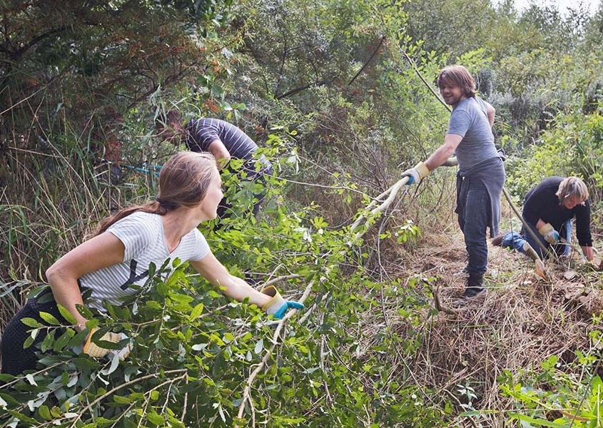 natureXP - Teamuitjes in de omgeving Lauwersoog