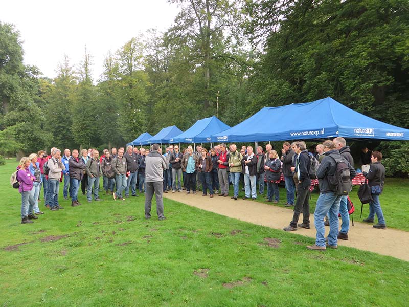 natureXP - Teamuitjes in de omgeving 's Gravenland