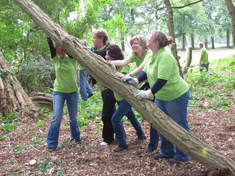 NatureXP - teamuitjes Rheden activiteiten
